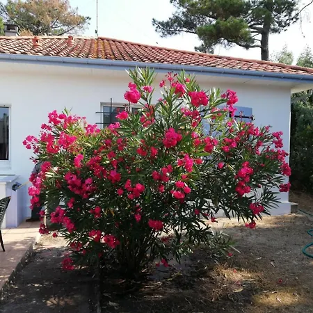 Niarella Hébergement de vacances