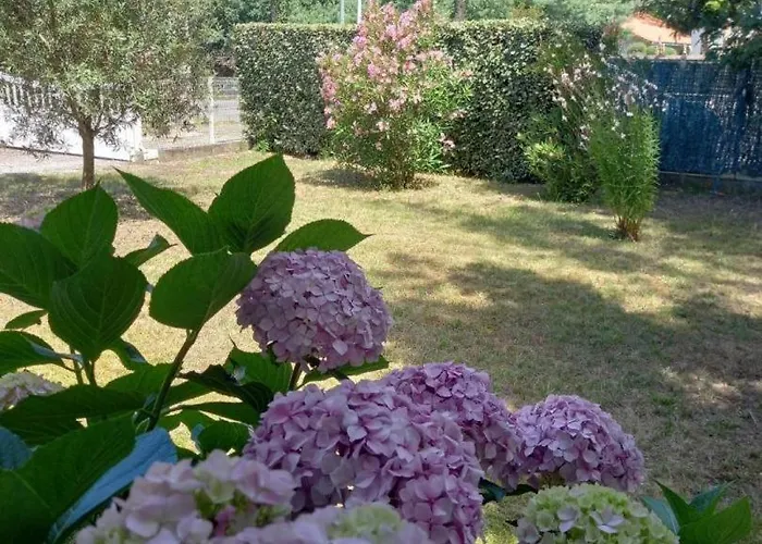 Niarella Hébergement de vacances *