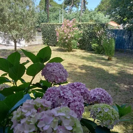 Niarella Holiday home *